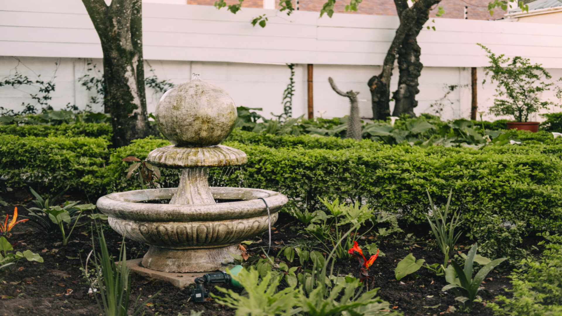 Lush planting in the Devereux garden where staff welcome guests